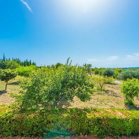 Villa Sa Bassa *